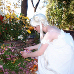 Click for larger image