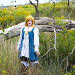 Click for larger image